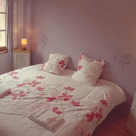La Belle Charbonniere Hotel *