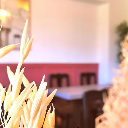 La Belle Charbonniere Hotel *