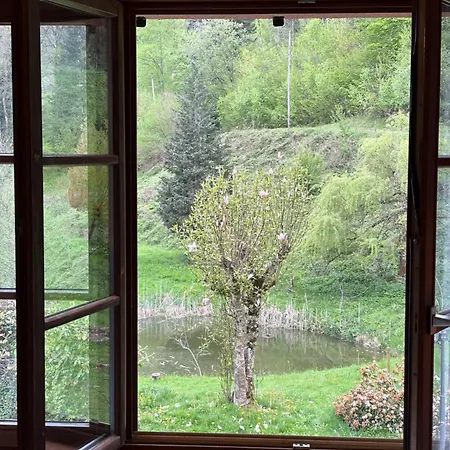 Hotel La Belle Charbonniere La Grande Fosse