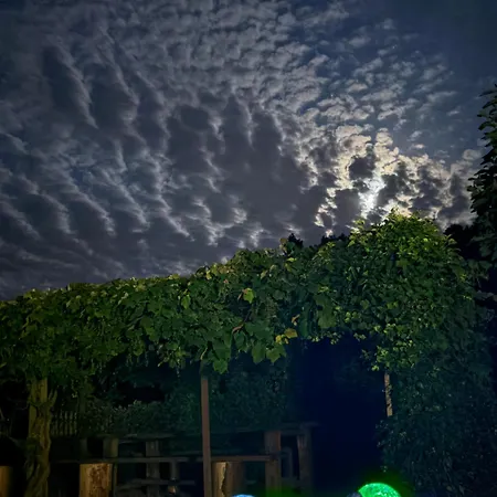 La Belle Charbonniere 호텔 La Grande Fosse