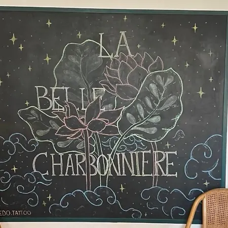Hotel La Belle Charbonniere *