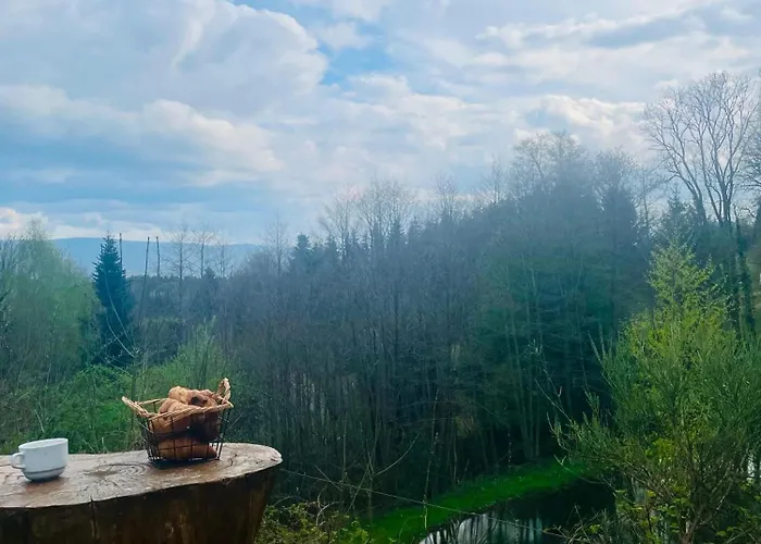 La Belle Charbonniere 호텔